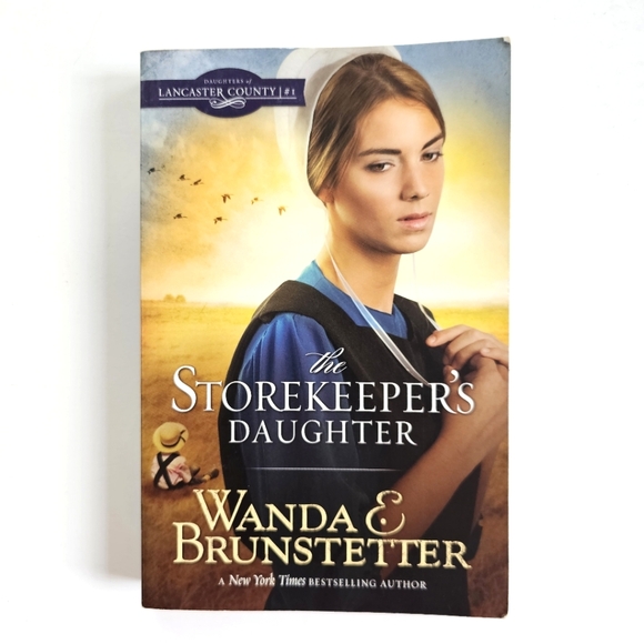 Lot of 4 Amish Books By Wanda Brunstetter, Daughters of Lancaster County - Picture 6 of 14